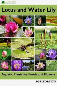 Abbildung von: Lotus and Water Lily - AGRIHORTICO