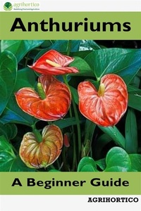 Abbildung von: Anthuriums - AGRIHORTICO