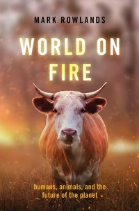 Abbildung von: World on Fire - OUP eBook