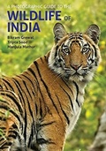 Cover: A Photographic Guide to the Wildlife of India - John Beaufoy Publishing Ltd