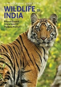 Abbildung von: A Photographic Guide to the Wildlife of India - John Beaufoy Publishing Ltd