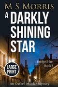 Cover: A Darkly Shining Star (Large Print) - Landmark Media