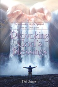 Cover: Provoking God's Blessings - Christian Faith Publishing, Inc.