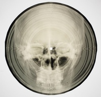 Abbildung von: Bone Music - Strange Attractor Press