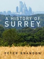 Cover: A History of Surrey - Phillimore & Co Ltd