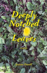 Enlarge image Cover: Deeply Notched Leaves - Regent Press