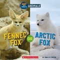 Cover: Fennec Fox or Arctic Fox (Wild World: Hot and Cold Animals) - Scholastic US