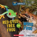 Cover: Red-Eyed Tree Frog or Wood Frog (Wild World: Hot and Cold Animals) - C. Press/F. Watts Trade