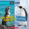 Cover: Galapagos Penguin or Emperor Penguin (Wild World: Hot and Cold Animals) - Scholastic US