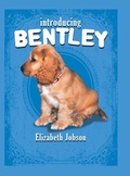 Cover: Introducing Bentley - Xlibris AU