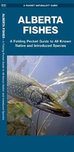 Cover: Alberta Fishes - Waterford Press Ltd