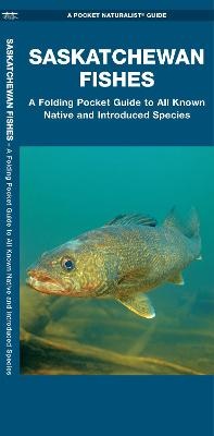 Enlarge image Cover: Saskatchewan Fishes - Waterford Press Ltd