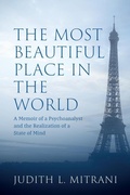 Cover: The Most Beautiful Place in the World - Judith L. Mitrani