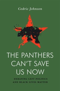 Abbildung von: The Panthers Can't Save Us Now - Verso Books