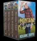 Cover: Wild Sky Romance Collection - Simon Creek Press