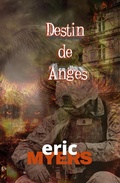 Cover: Destin  de  Anges - Trient Press