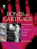 Bild: Bones and Cartilage - Academic Press