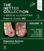 Bild: The Netter Collection of Medical Illustrations: Digestive System, Volume 9, Part II - Lower Digestive Tract - Elsevier
