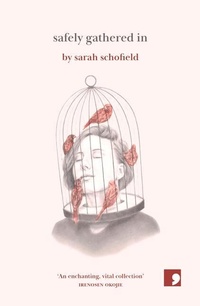 Enlarge image Cover: Safely Gathered In - Comma Press