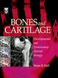 Bild: Bones and Cartilage - Academic Press