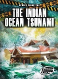 Cover: The Indian Ocean Tsunami - Bellwether Media