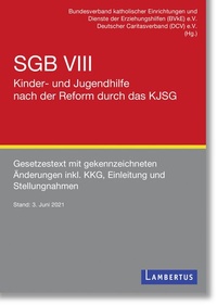 Abbildung von: SGB VIII - Kinder- und Jugendhilfe nach der Reform durch das KJSG - Lambertus