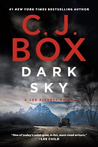 Enlarge image Cover: Dark Sky - G P Putnam's Sons