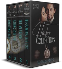 Enlarge image Cover: His Toy Collection (Books 1-4) - Eidyllio Publishing