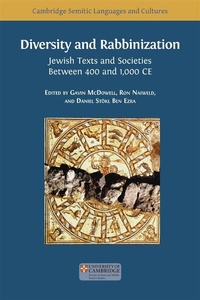 Enlarge image Cover: Diversity and Rabbinization - Open Book Publishers