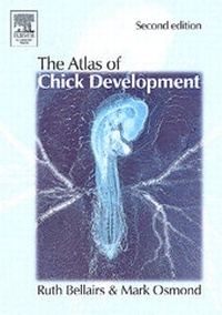 Enlarge image Cover: Atlas of Chick Development - Academic Press
