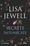 Cover: Secrete intunecate - Litera Media Group