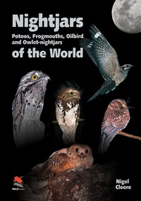 Abbildung von: Nightjars, Potoos, Frogmouths, Oilbird, and Owlet-nightjars of the World - Princeton University Press