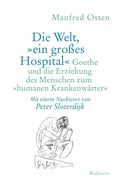 Cover: Die Welt, &raquo;ein gro&szlig;es Hospital&laquo; - Wallstein