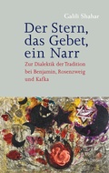 Cover: Der Stern, das Gebet, ein Narr - Wallstein