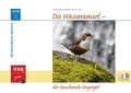 Cover: Die Wasseramsel - der tauchende Singvogel - Militzke Verlag GmbH