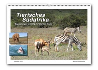 Abbildung von: Tierisches Südafrika (Wandkalender 2022, A3, quer) - Pixel-Büro. Melle