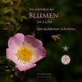 Cover: Die Sch&ouml;nheit der Blumen im Licht des Goldenen Schnittes - Hartmut Lux