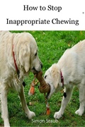 Cover: How to Stop Inappropriate Chewing (Dog training, #3) - Dog training