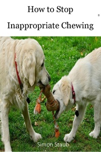 Enlarge image Cover: How to Stop Inappropriate Chewing (Dog training, #3) - Dog training