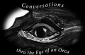 Cover: Conversations Thru the Eye of an Orca - Lulu.com