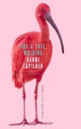 Cover: Like a Tree, Walking - Carcanet Press Ltd