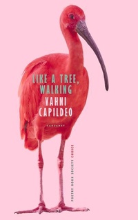 Enlarge image Cover: Like a Tree, Walking - Carcanet Press Ltd