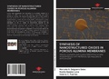 Abbildung von: Synthesis of Nanostructured Oxides in Porous Alumina Membranes - Our Knowledge Publishing
