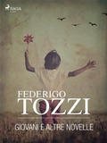 Cover: Giovani e altre novelle - Saga Egmont
