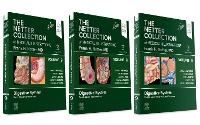 Abbildung von: The Netter Collection of Medical Illustrations: Digestive System Package - Elsevier
