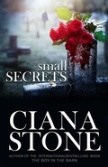 Cover: Small Secrets - Originalsyn