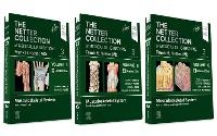Enlarge image Cover: The Netter Collection of Medical Illustrations: Musculoskeletal System Package - Elsevier