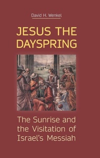 Enlarge image Cover: Jesus the Dayspring - Sheffield Phoenix Press Ltd