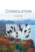 Cover: Consolation; Poems - IPBooks