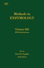 Cover: RNA Interference: Volume 392 - Academic Press